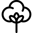 Raw cotton icon